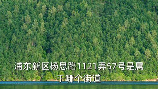 浦東新區楊思路1121弄57號是屬于哪個街道