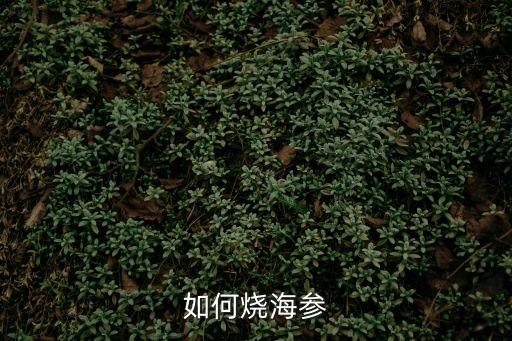 如何燒海參