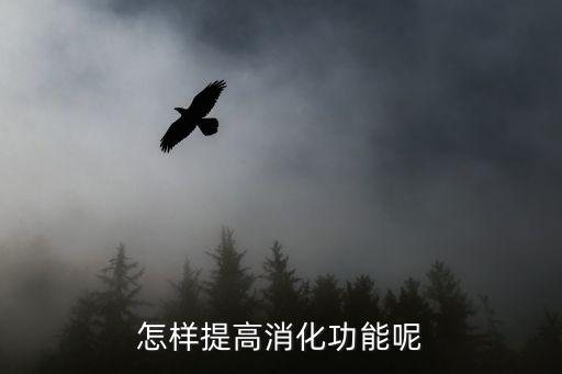 怎樣促進消化，怎樣提高消化功能呢