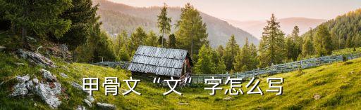 甲骨文圖片,甲骨文是我國的古文字?