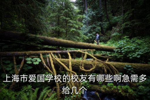上海市愛國學校有哪些人，上海愛國主義教育場所有哪些