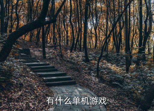 單機游戲有，有什么單機游戲