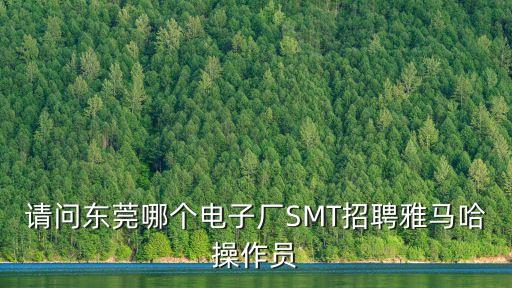 請(qǐng)問東莞哪個(gè)電子廠SMT招聘雅馬哈操作員