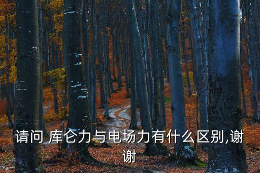 庫侖力,電荷激發的力叫做庫侖力