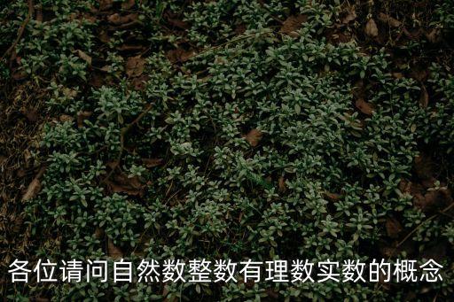 各位請問自然數整數有理數實數的概念