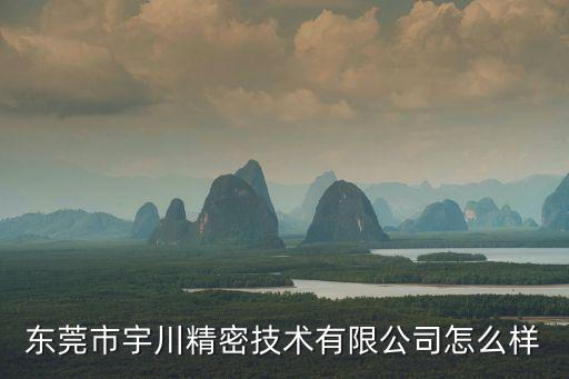 東莞市宇川精密技術(shù)有限公司怎么樣