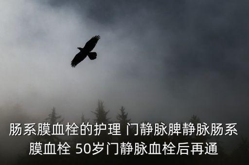 腸系膜血栓的護理 門靜脈脾靜脈腸系膜血栓 50歲門靜脈血栓后再通