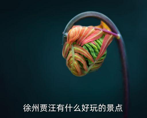賈汪起義，徐州賈汪有什么好玩的景點