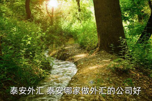 泰安外匯 泰安哪家做外匯的公司好
