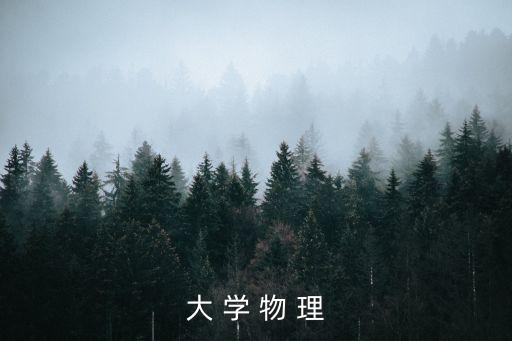 大學(xué)物理學(xué)，大 學(xué) 物 理