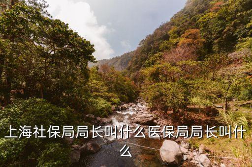 上海社保局局長叫什么醫(yī)保局局長叫什么