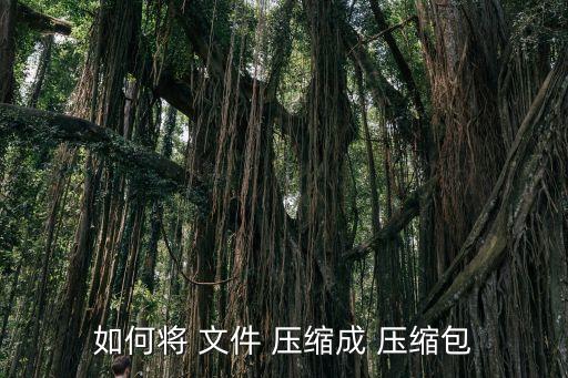 如何將 文件 壓縮成 壓縮包
