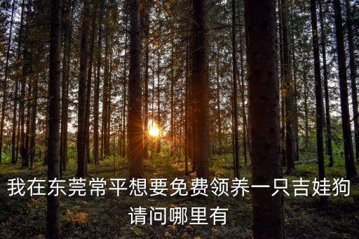 我在東莞常平想要免費領養(yǎng)一只吉娃狗請問哪里有