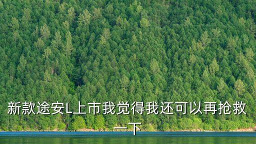 新款途安L上市我覺得我還可以再搶救一下