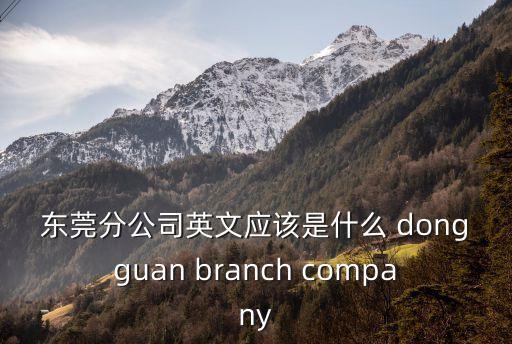 東莞分公司英文應該是什么 dongguan branch company