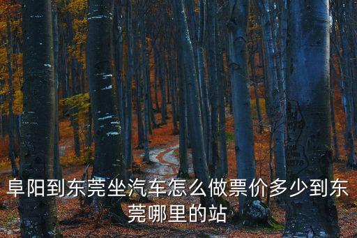 阜陽到東莞汽車車票多少錢，阜陽到東莞坐汽車怎么做票價多少到東莞哪里的站