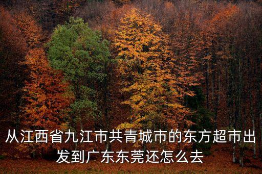 從江西省九江市共青城市的東方超市出發(fā)到廣東東莞還怎么去