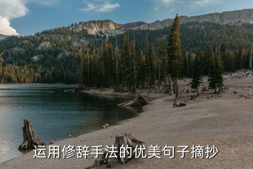 有修辭手法的好句，有修辭手法的好句