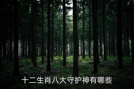 十二生肖八大守護(hù)神有哪些