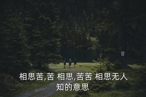  相思苦,苦 相思,苦苦 相思無人知的意思