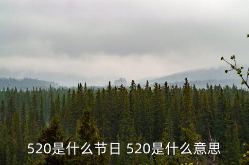 520，520是什么意思啊