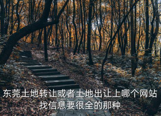 東莞 土拍，東莞土地轉讓或者土地出讓上哪個網站找信息要很全的那種