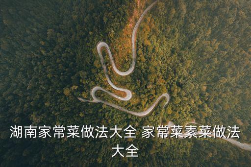 湖南家常菜做法大全 家常菜素菜做法大全