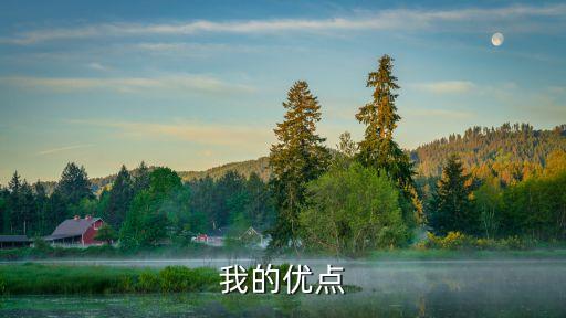 我的優點