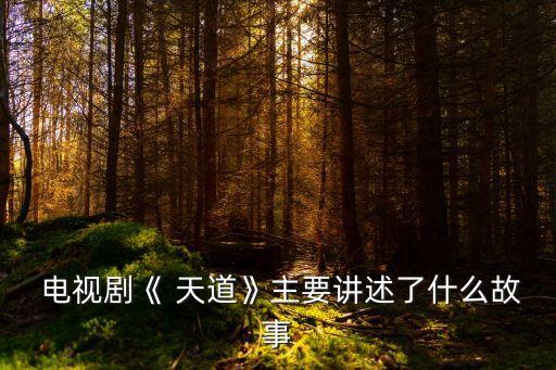  電視劇《 天道》主要講述了什么故事