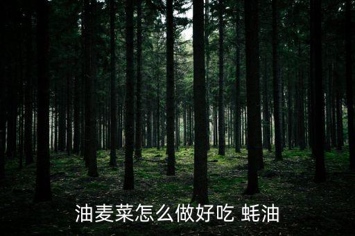 油麥菜怎么做好吃 蠔油