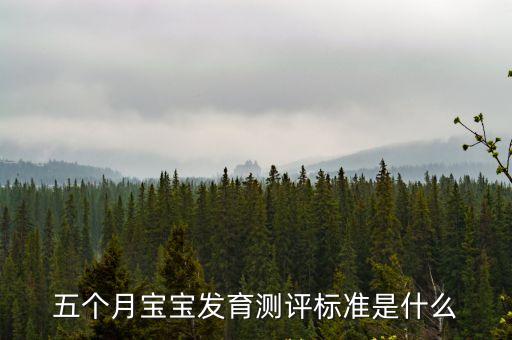 五個月寶寶發育測評標準是什么