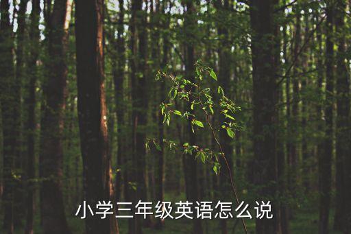三年級(jí)的英語(yǔ)，三年級(jí)英語(yǔ)