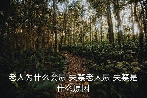 老人為什么會尿 失禁老人尿 失禁是什么原因