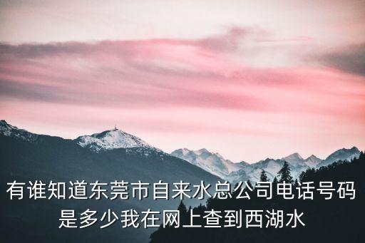東莞各水廠電話，東莞洪梅供水局電話