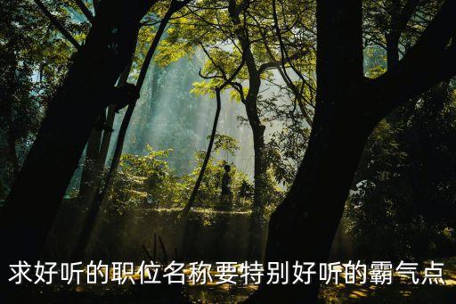 職務名稱，求問一下崗位職務名稱