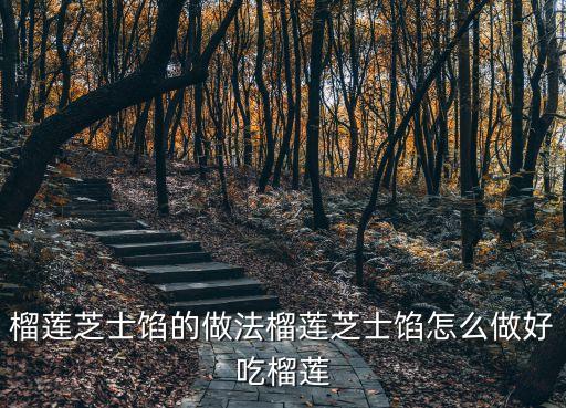 榴蓮芝士餡的做法榴蓮芝士餡怎么做好吃榴蓮