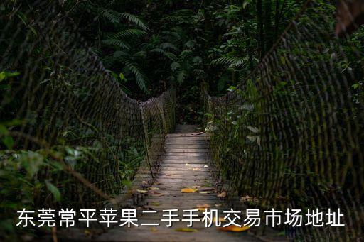 東莞常平蘋果二手手機交易市場地址