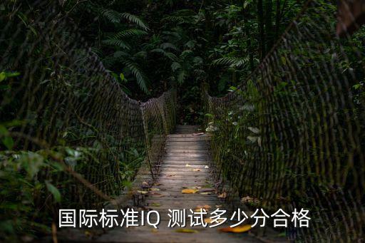  國際標準IQ 測試多少分合格