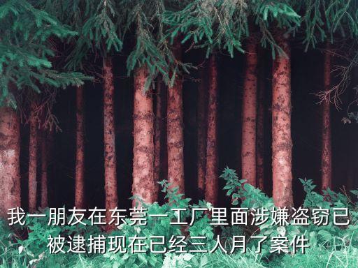我一朋友在東莞一工廠里面涉嫌盜竊已被逮捕現在已經三人月了案件