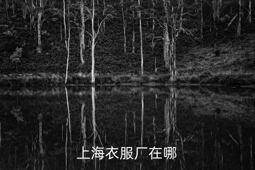 上海市丹霞路有服裝廠，上海各大服裝廠在哪能找到