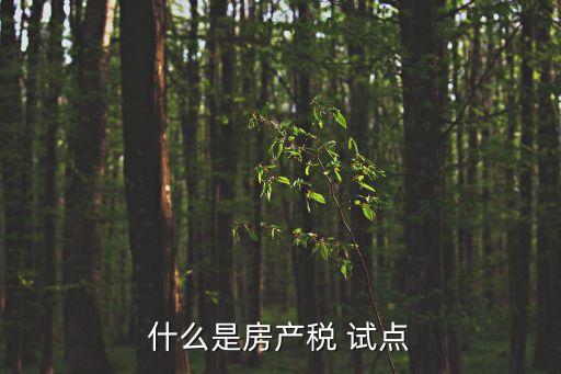 房產稅試點，房產稅試點內容
