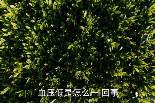  血壓低是怎么一 回事
