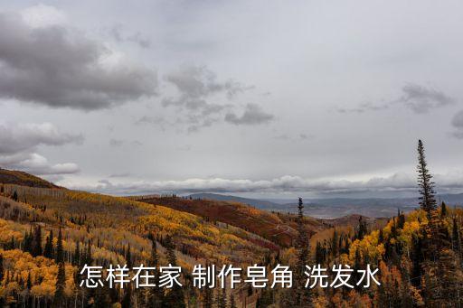 洗發水制作,皂角洗發水和皂角湯你一起來學習