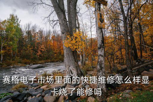 賽格電子市場里面的快捷維修怎么樣顯卡燒了能修嗎