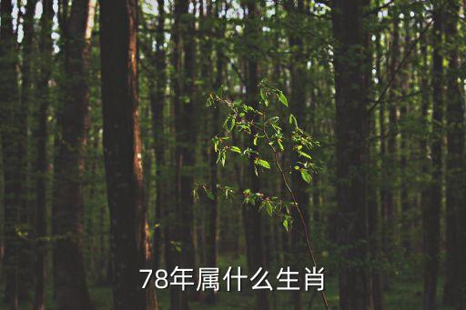 78年屬什么生肖