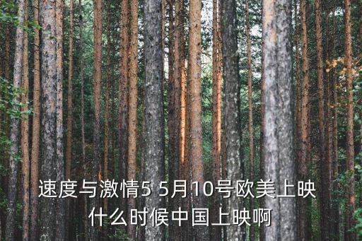 速度與激情5 5月10號(hào)歐美上映 什么時(shí)候中國上映啊