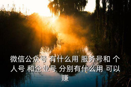 微信公眾號 有什么用 服務號和 個人號 和企業號 分別有什么用 可以賺