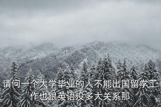 請問一個大學畢業的人不能出國留學工作也跟英語沒多大關系那