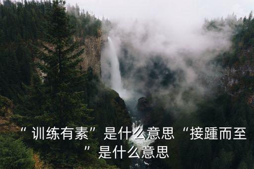 “ 訓(xùn)練有素”是什么意思“接踵而至”是什么意思