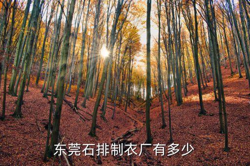 東莞石排盈峰制衣廠，盈升制衣廠具體地址在東莞哪里